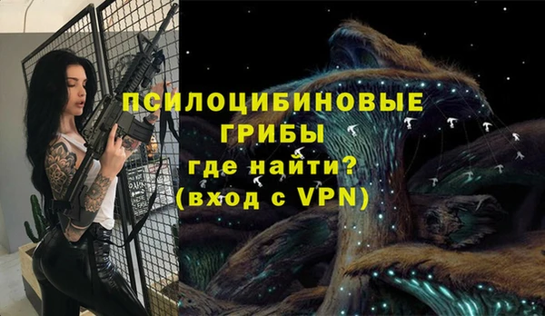 твердый Алексин