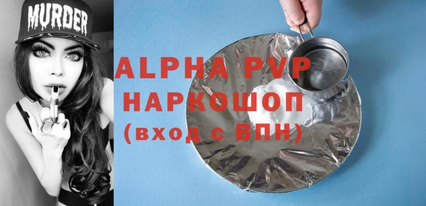 гашик Новодвинск