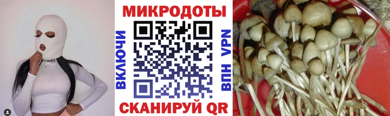 Галлюциногенные грибы мухоморы  ОМГ ОМГ tor  Кремёнки 