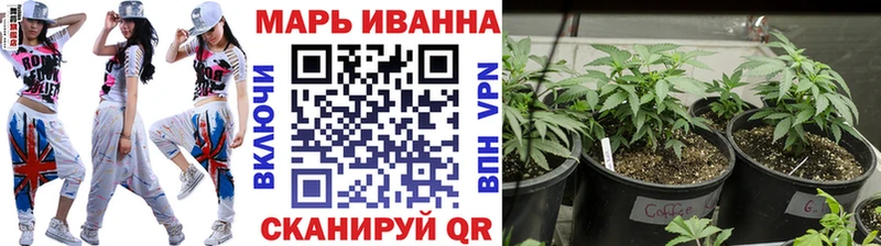 Конопля SATIVA & INDICA  Кремёнки 